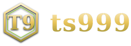 ts999 logo
